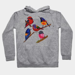 Colorful Birds Hoodie